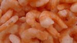 Health body urges 'urgent measures' on increased shrimp mortality in Central America