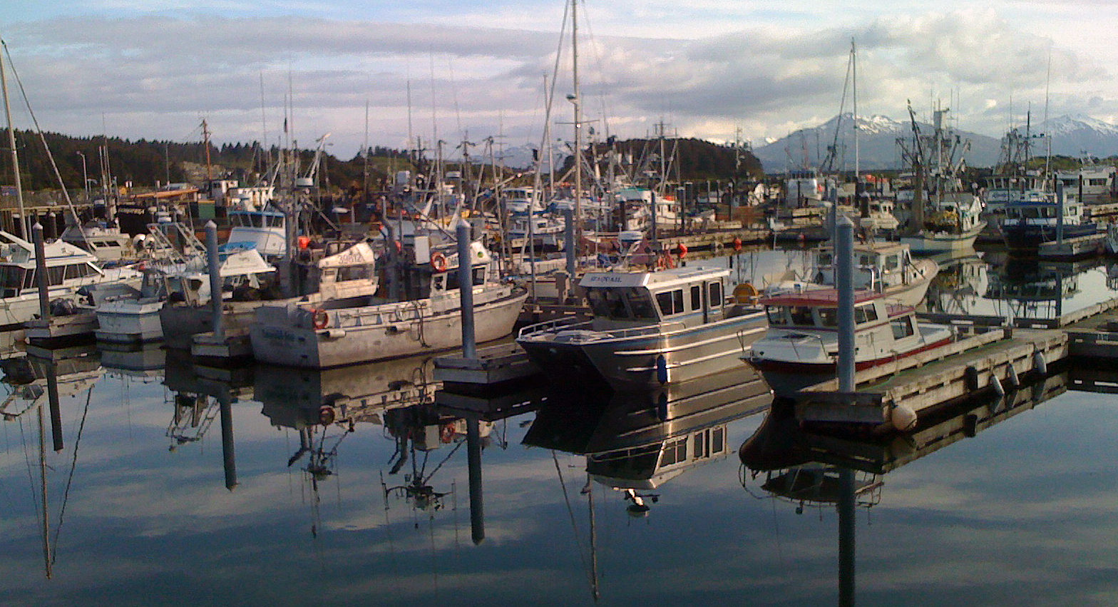 Alaskan fishermen struggle shifting halibut