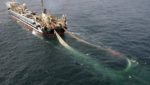 Banned P&P trawler offers to cut catch
