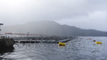 Salmon farm. Photo: Norwegian Seafood Council.
