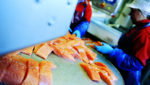 Farmed salmon prices breach NOK 40, keep climbing