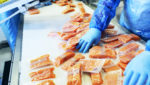Salmon price correction sees spot market dip