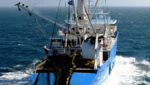 French billionaire’s tuna fishing trip in rough waters