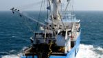 Sapmer puts PNG project on standby during bid to salvage tuna ops