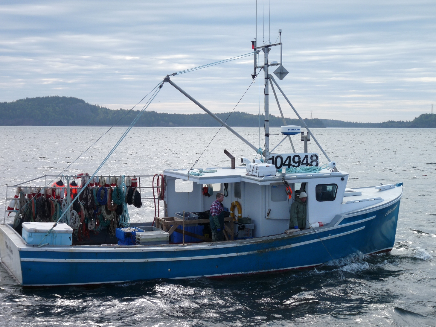 Panel looks into struggling PEI lobster prices - Undercurrent News