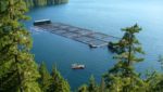Loch Duart Canadian JV has salmon farm application rejected