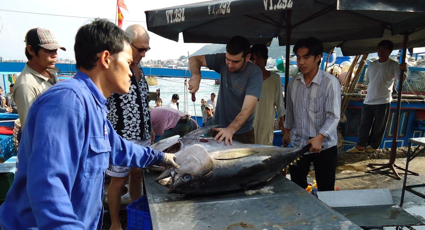 Vietnam tuna sales to EU rise