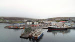 Norway, Iceland warn about recognizing Faroes herring TAC