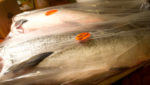 US imports relying more on farmed salmon