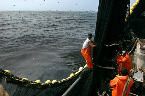 Copeinca, China Fishery: Can oil and water mix? - Undercurrent News
