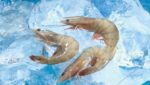 Ecuador shrimp production and sales surging, up 31% in July vs. year ago
