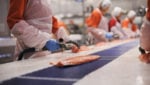 Key markets make up Russian shortfall for Norway salmon