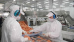 Salmon summit: Chile ‘overspill’ to Europe could hit 2013 prices
