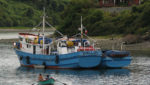 Chilean artisanal fisheries nab $1.4m from government fund