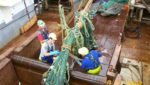 Sanford welcomes detainment of $6.4m Nigerian toothfish haul