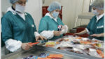 Russian Sea salmon factory