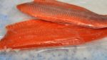 Camanchaca's US salmon sales rocket as Japan dives on trout drop