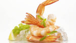 Ecuadorian shrimp industry signs MOU with Chinese importers