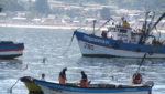 Fishing landings in 2013 down 21% in Chile