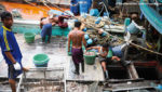 Five Thais, two Indonesians arrested in seafood slavery case