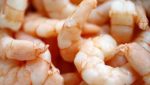 Thai Union ramps up India imports as shrimp business back in black