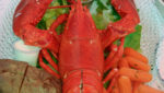 EU labeling regulations a headache for Canada’s lobster industry