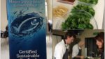 Sealord to use MSC ecolabel on hoki packs