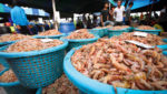 Thai shrimp
