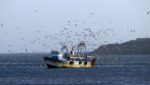 MEPs approve renewed EU-Morocco fisheries deal