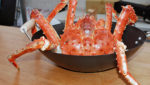 US king crab industry braces for impacts from Russia's high quota