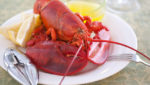 New year-round lobster processing plant starting up in Nova Scotia
