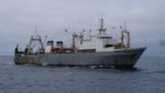 Arkhangelsk Trawl Fleet enters full MSC assessment in Barents Sea