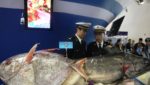 In pictures: Snapshots from China Fisheries & Seafood Expo 2013