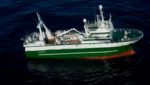 Ocean Choice considers fleet renewal as groundfish recovers