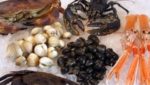 Kantar: Shellfish, value-added products drive chilled sales growth in UK