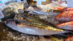 New mackerel talks expected in March; no EU-Norway bilateral before then