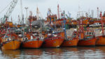 Argentina fish landings up 17.2% in 2013