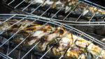 Mackerel barbecue