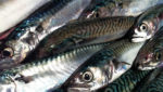 Farne picks up Co-op hot smoked mackerel business