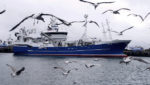 No agreements on Northeast Atlantic herring; blue whiting
