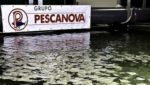 Pescanova creditors: All subsidiaries in bankruptcy will be rescued