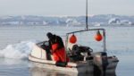 Falling halibut sizes has Greenland worried