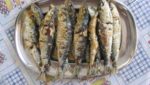 Portugal, Spain in row over 21,000t sardine fishing quota