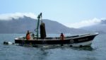 Sea Protein scallop boat at farm Peru