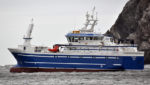 Longline haddock prices up more as section of fleet switches to cod, saithe