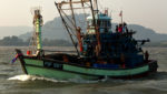 Thai Feed Mill sets 5-year road map towards sustainable fisheries