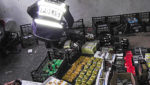 Seafood largest part of 1200t Interpol food seizure