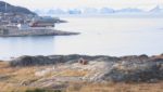 Ilullisat Greenland. Photo: kaet44