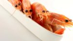 Argentina, China strengthen cooperation on shrimp trade, aquaculture
