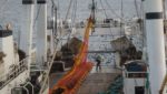 Aker-linked Ocean Harvest reverses three years of losses in Argentina